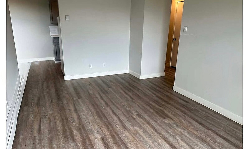 1-Bedroom Apartment ...