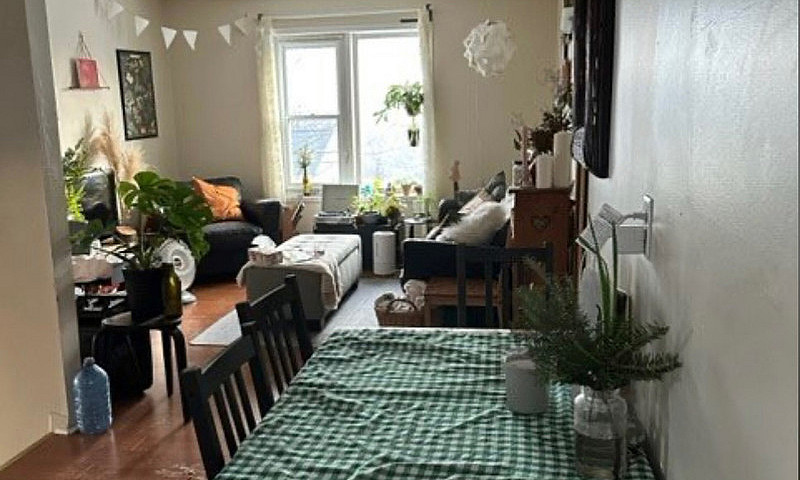3319 Robie St Availa...