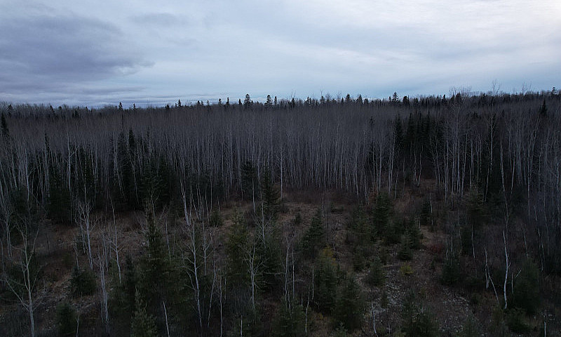 For Sale: 7.4 Acre V...
