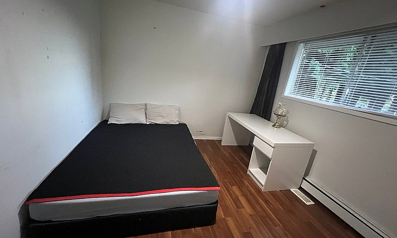 Bright Furnished Roo...