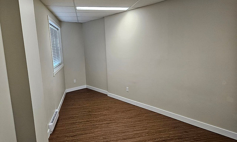 Cozy 1-Bedroom Apart...