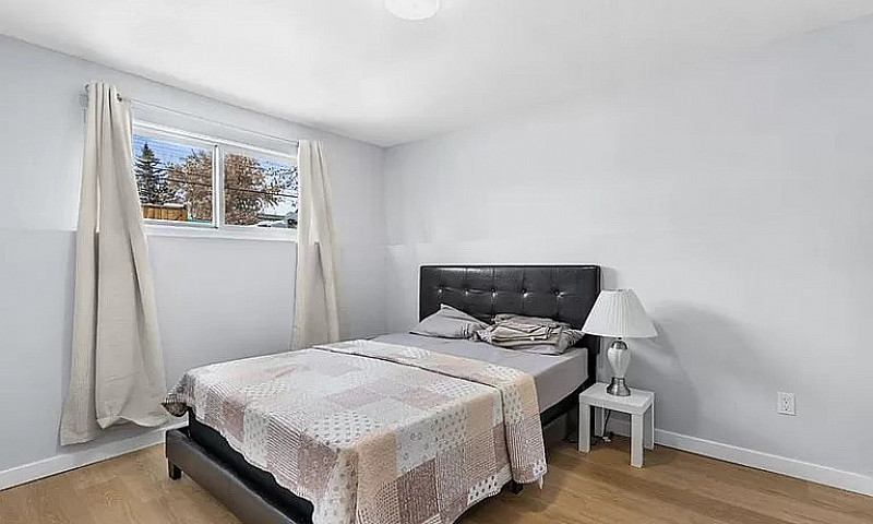 3 Bed 1 Bath Forest ...