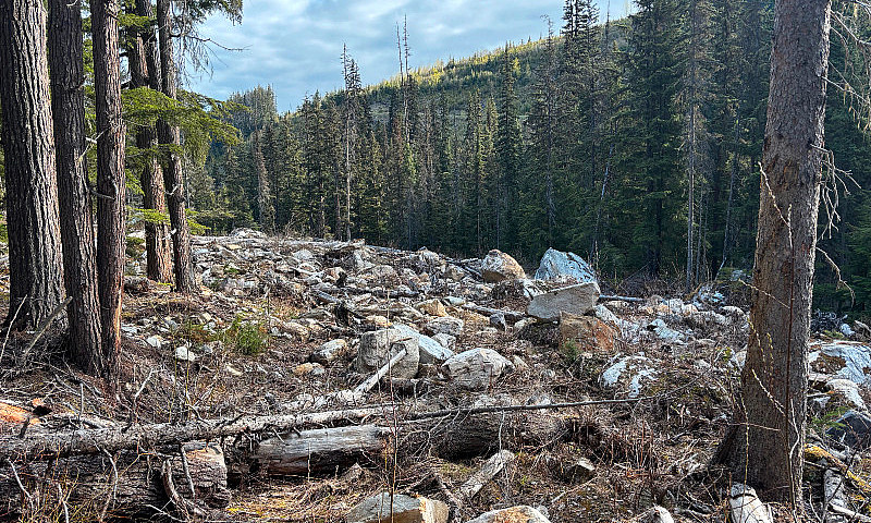 Quartz Creek Placer ...