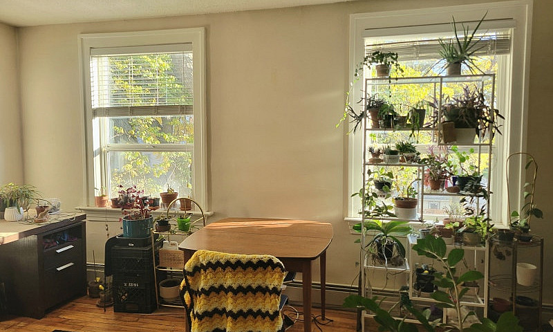 1 Bedroom Apartment ...