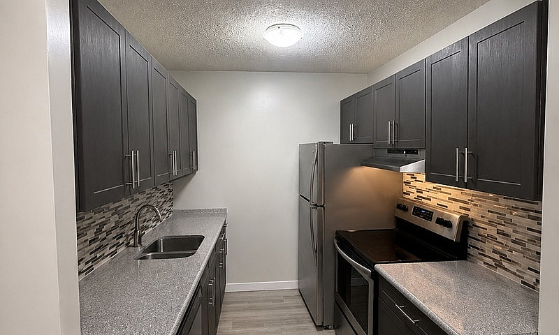1 Bedroom Apartment ...