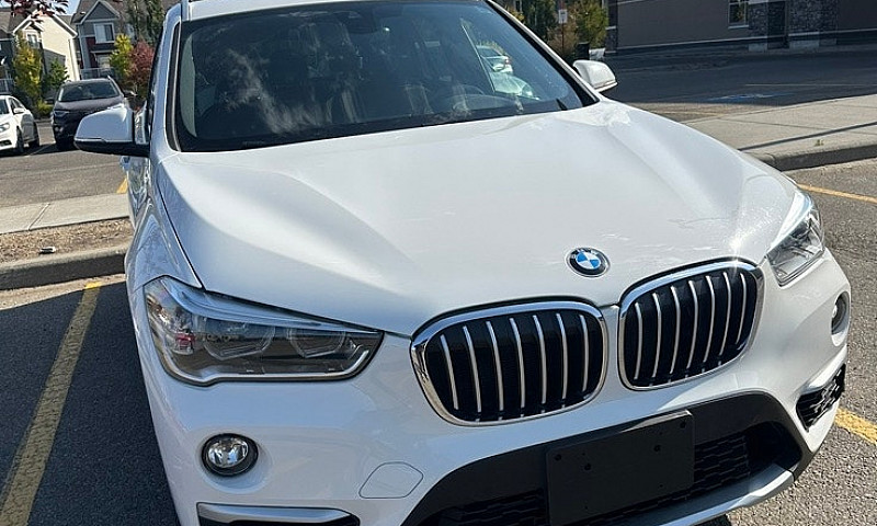 2017 Bmw X1 (Xdrive2...