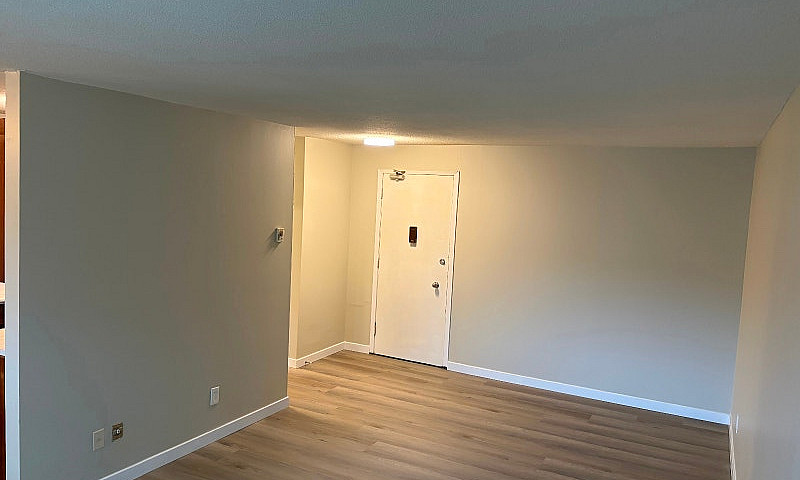 1 Bedroom Apartment ...