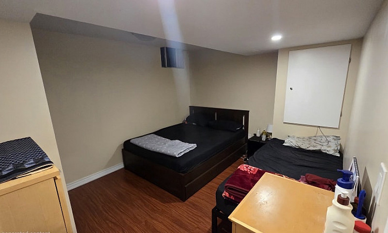 Basement Apartment F...