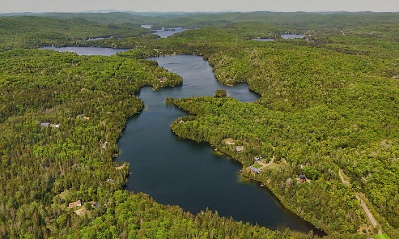 (Rare ) 150 Acres Wi...