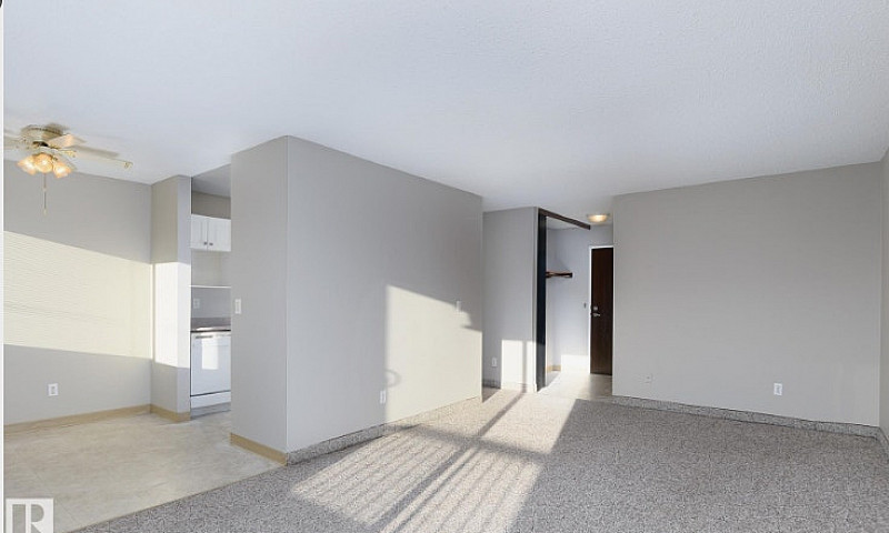 Spacious 1-Bedroom C...