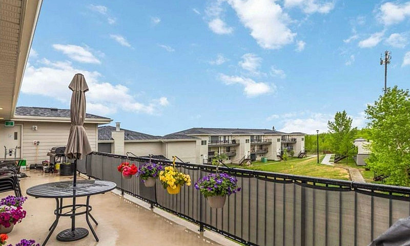 3 Bedroom Apartment ...