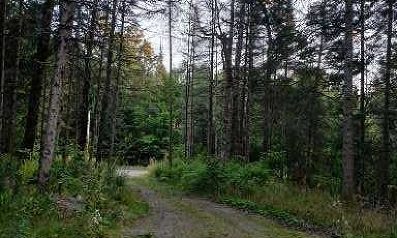 Land For Sale...