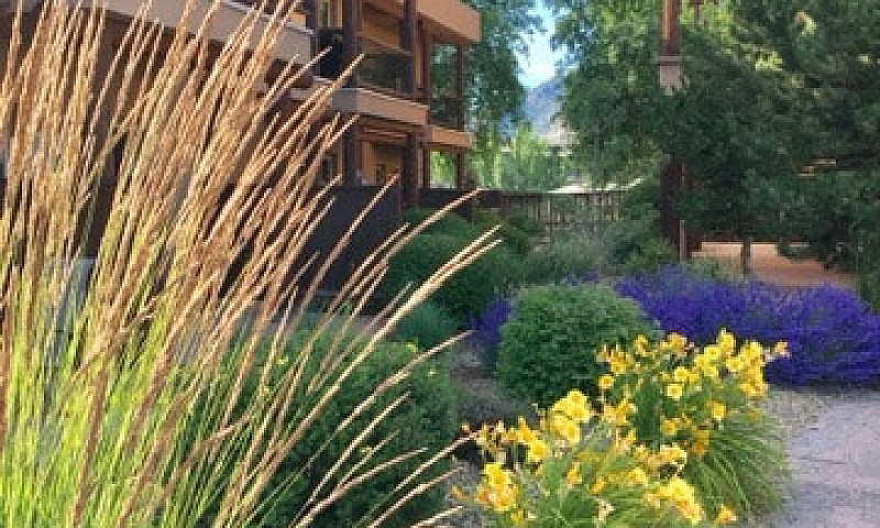 Osoyoos Immaculate W...