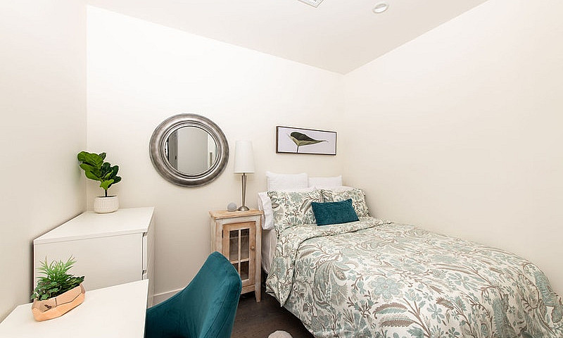 Luxury 1 Bedroom & D...