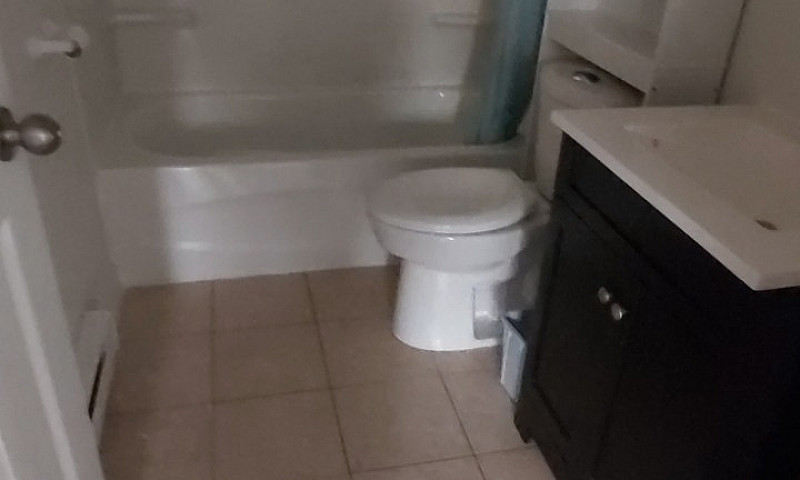 One Bedroom Basement...