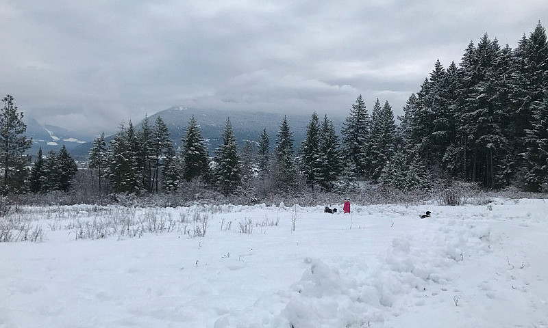 35 Acres In The Okan...