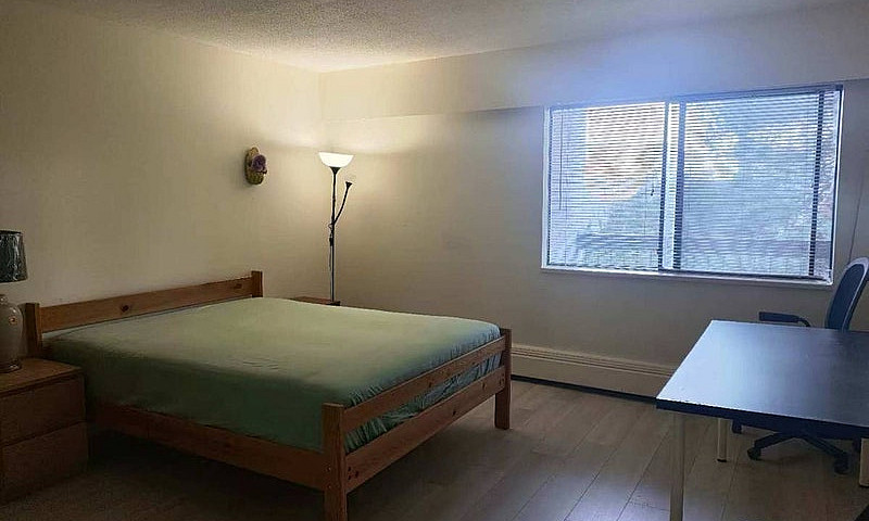 2-Bedroom Spacious C...