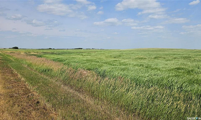 516 Acres Farmland...