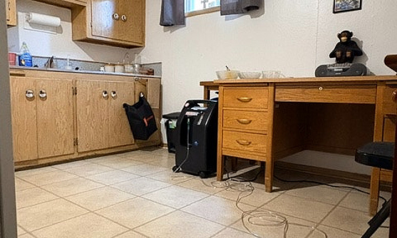Bachelor Basement Su...