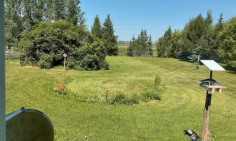 Farm For Sale...