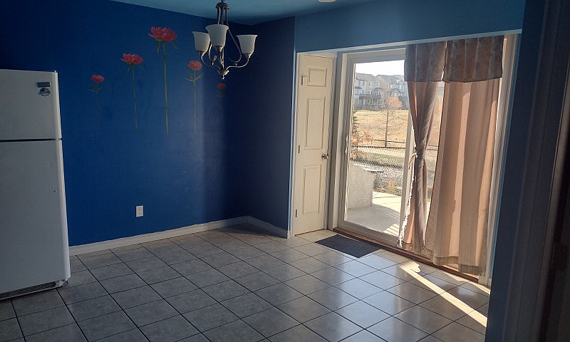 Walkout Basement In ...