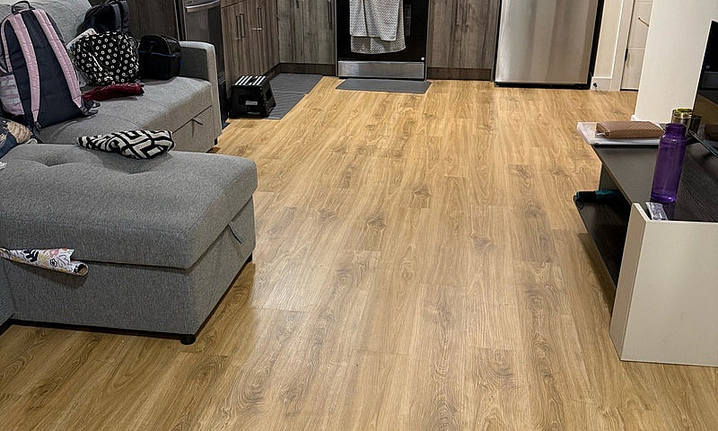 House Basement Suite...