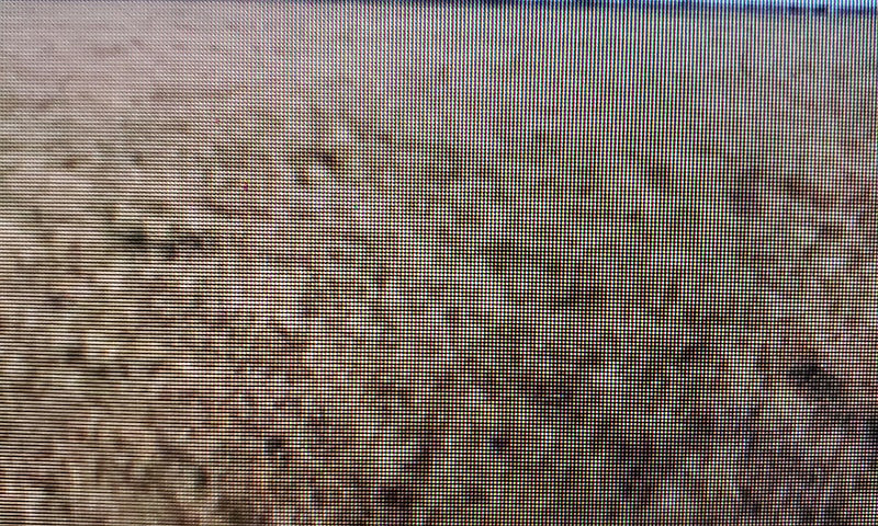 40 Acres For Sale Va...