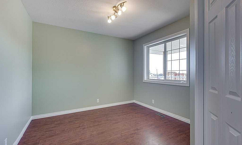 Spruce View Home For...