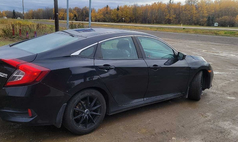 Daily Driven Mostly ...