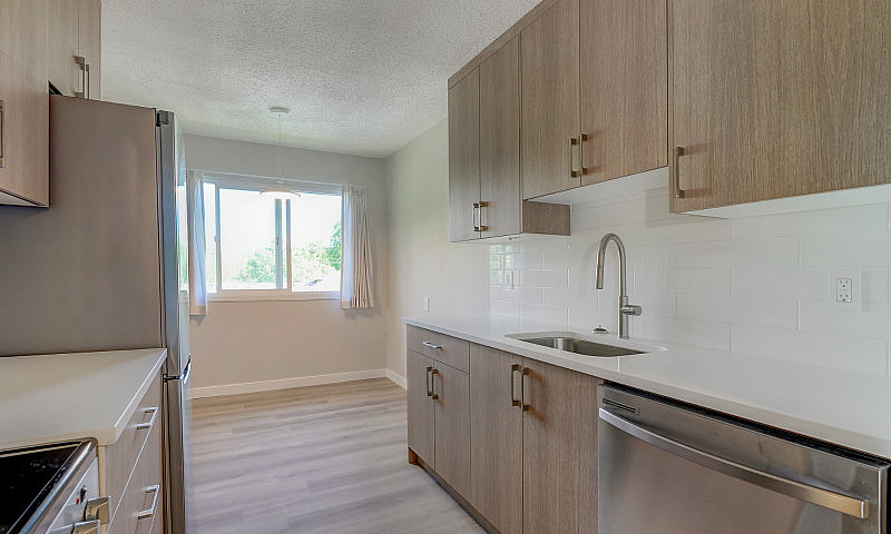 Renovated, Bright, S...