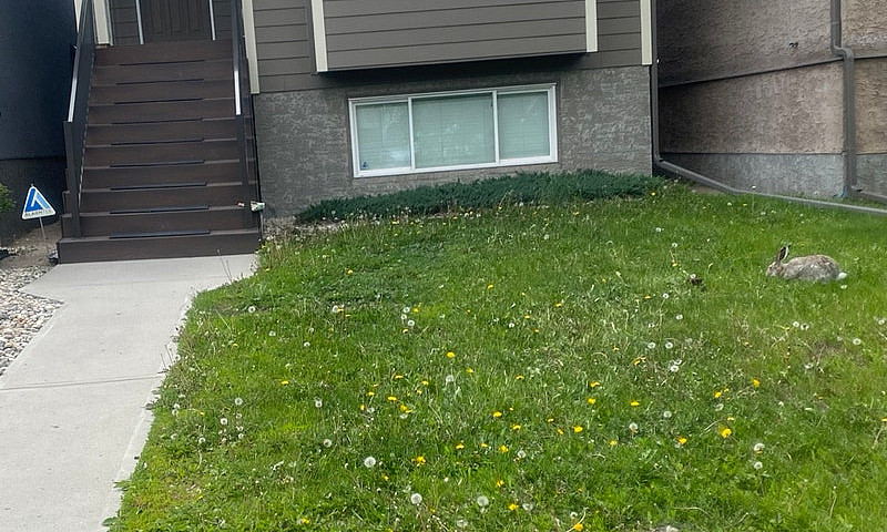 House For Rent...