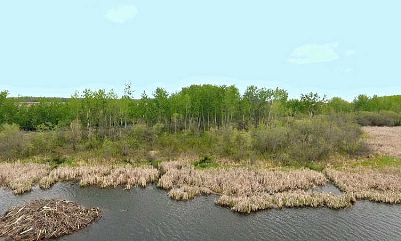 Recreational Land In...