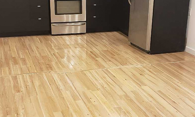 Large 2 Bed 1 Bath H...