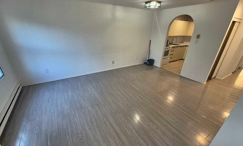 Bright Renovated 1Br...