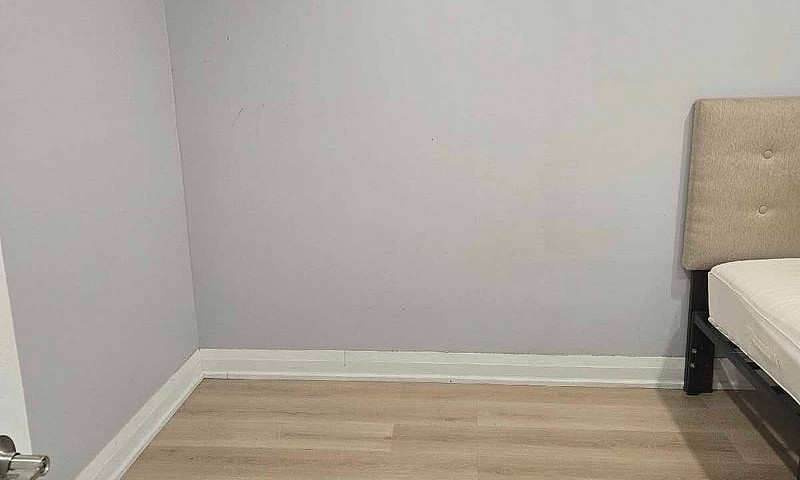 Basement  Apartment ...