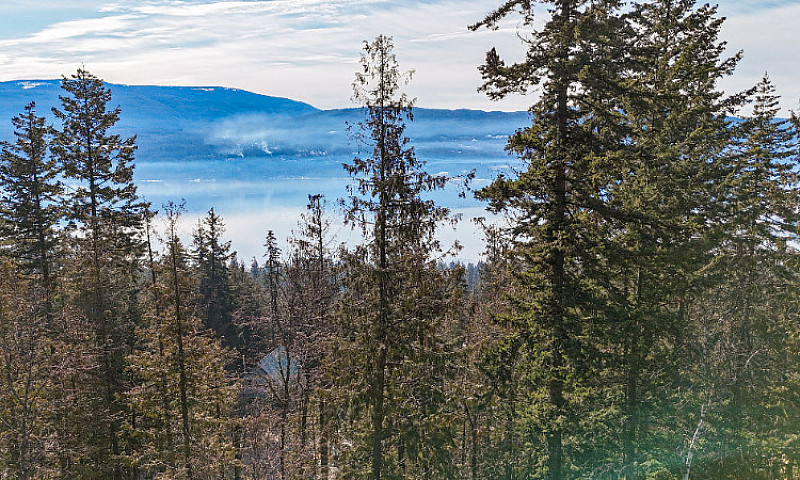 Shuswap Building Lot...