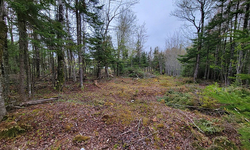 3.9 Acre Mattatall L...