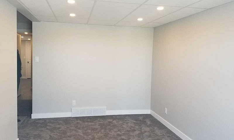1  Bedroom Suite Bas...