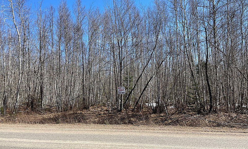 2 & 3 Acre Lots In R...