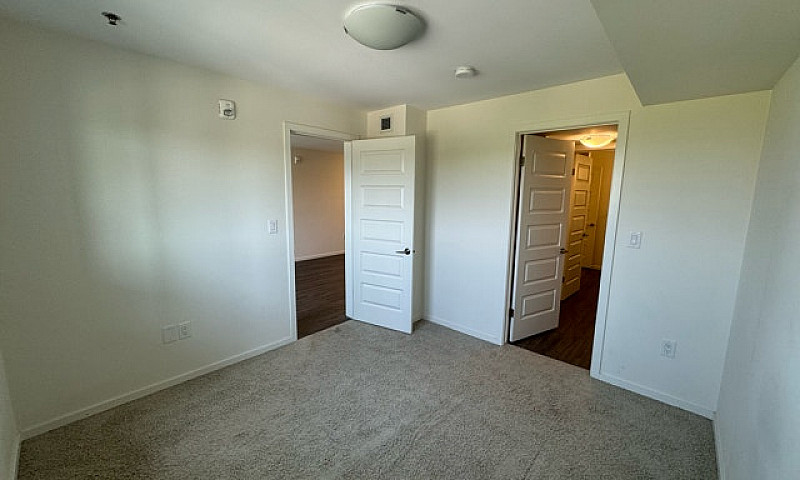 **1Bed 1Bath Apartme...