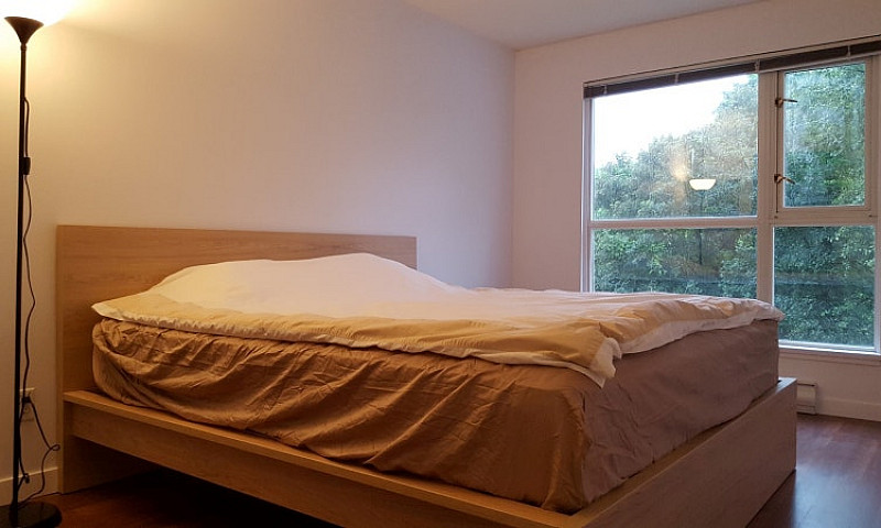 Fully Furnished 1Br ...
