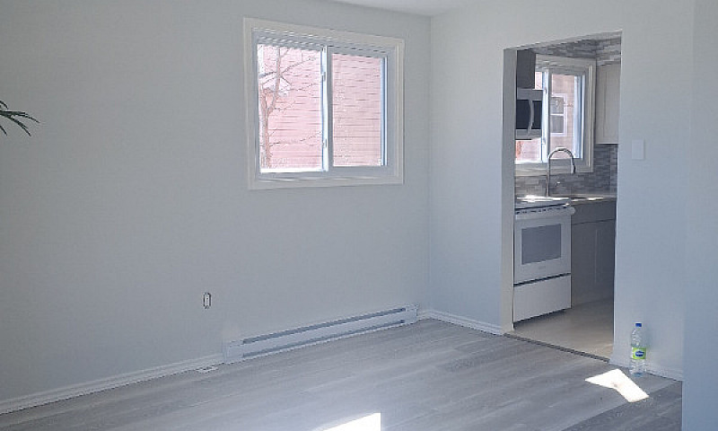 Apartment For Rent...