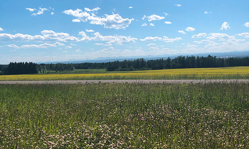 4 Acres In Mountain ...