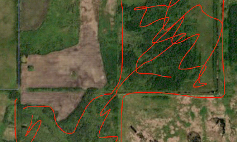2 Pasture Quarters F...