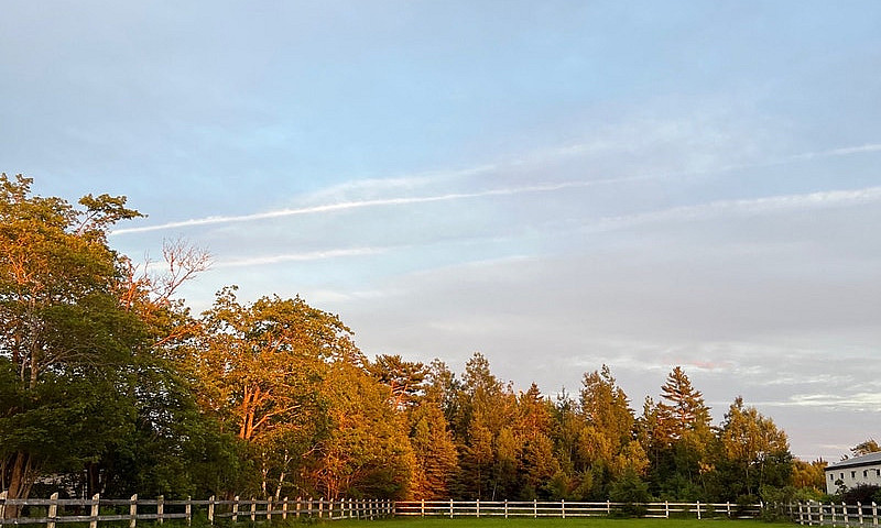 Looking To Buy Land ...
