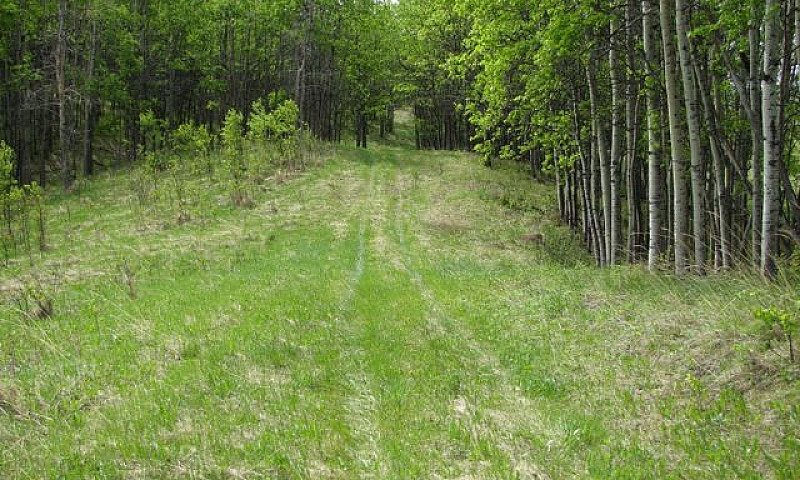 20 Acres For Sale - ...
