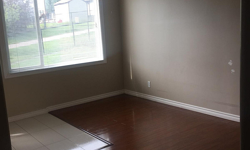3 Bedroom Walkout Ba...