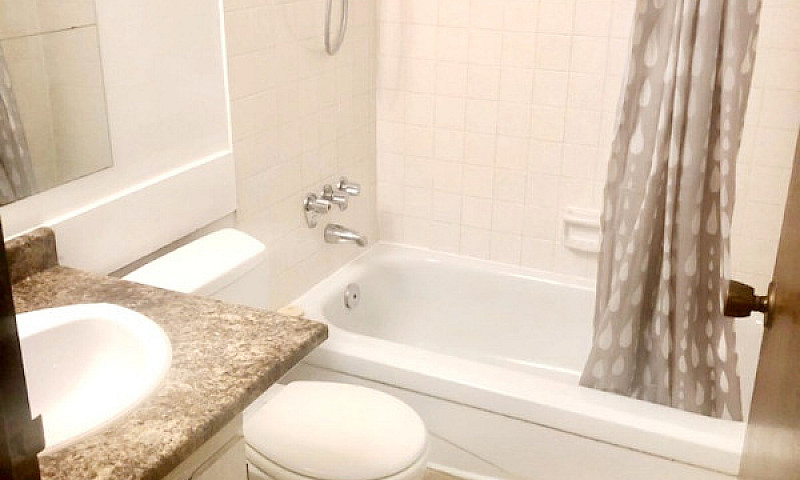$1900 - 1 Bedroom Ap...