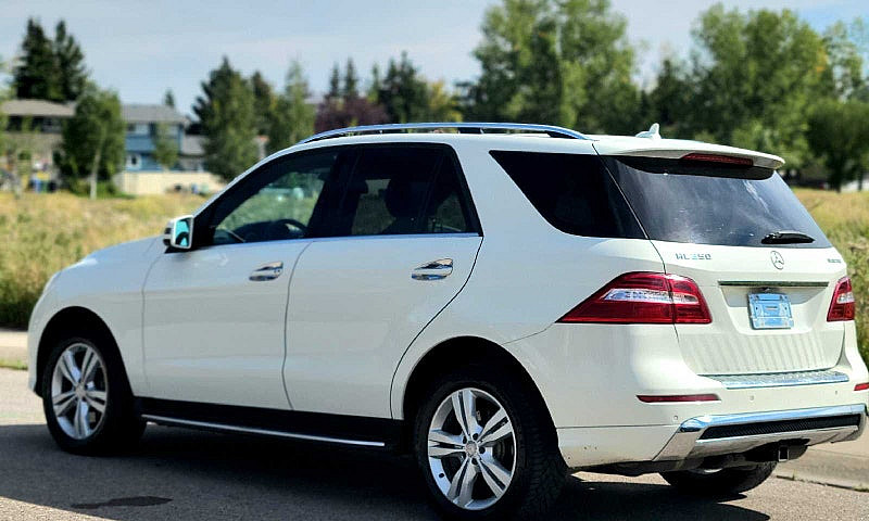 2013 Mercedes Ml350 ...