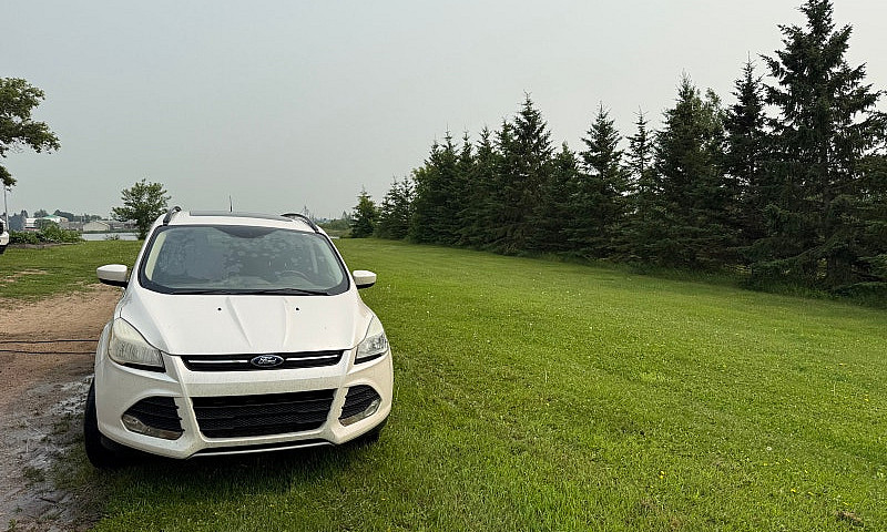 2014 Ford Escape...